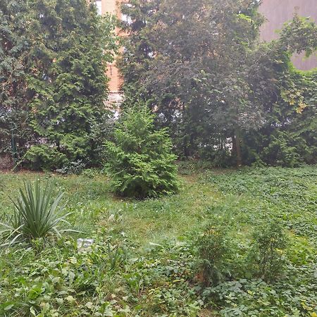 Apartament Przedzamcze Stary Toruń Extérieur photo