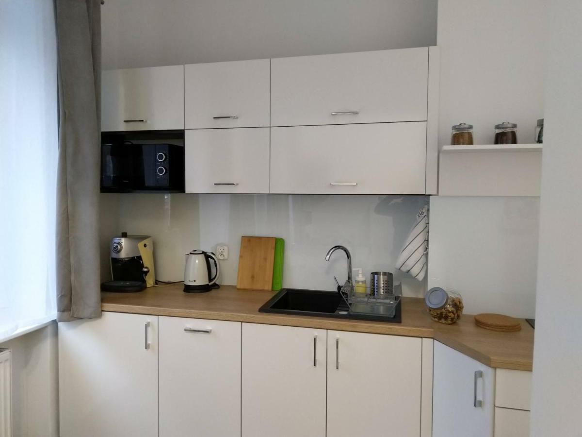 Apartament Przedzamcze Stary Toruń Extérieur photo
